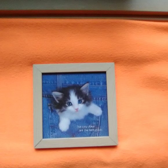 Kitten-in-a-Pocket Litho - Picture 3 of 3